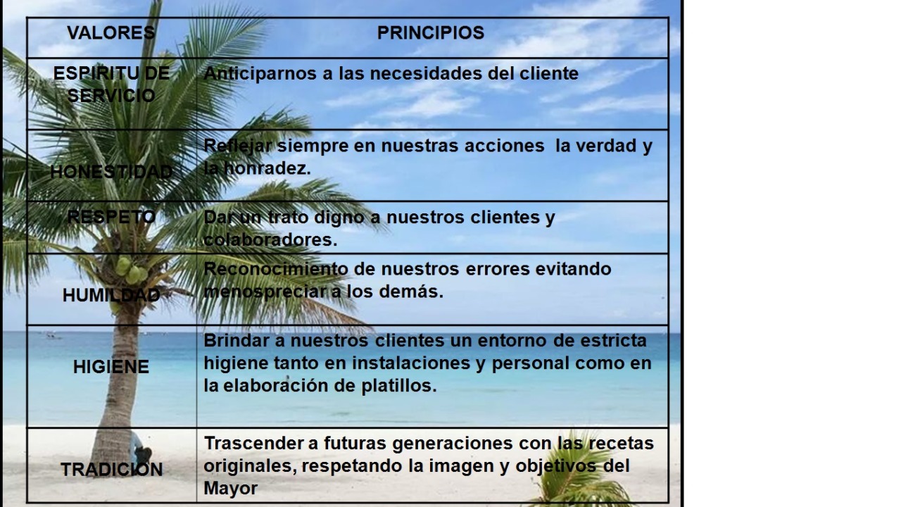 VALORES Y PRINCIPIOS
